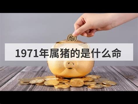 1971是什麼年